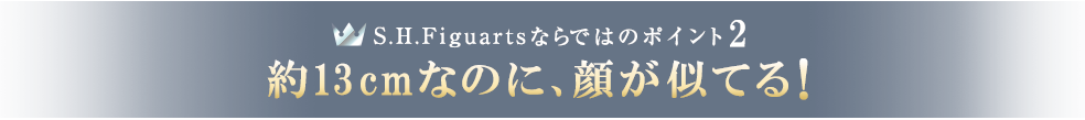 S.H.Figuartsならではのポイント2 約13cmなのに、顔が似てる！