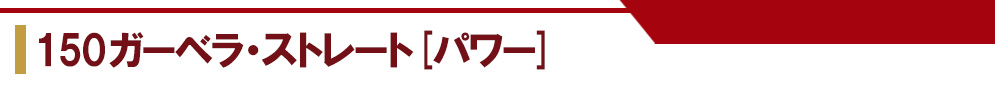 150ガーベラ・ストレート[パワー]