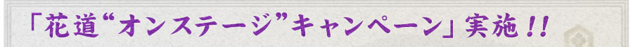 「花道“オンステージ”キャンペーン」実施！！