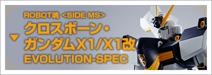 クロスボーン・ガンダムX1/X１改 EVOLUTION-SPEC
